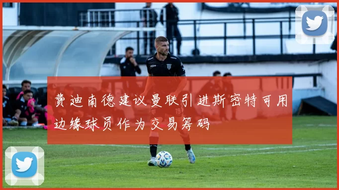 费迪南德建议曼联引进斯密特可用边缘球员作为交易筹码