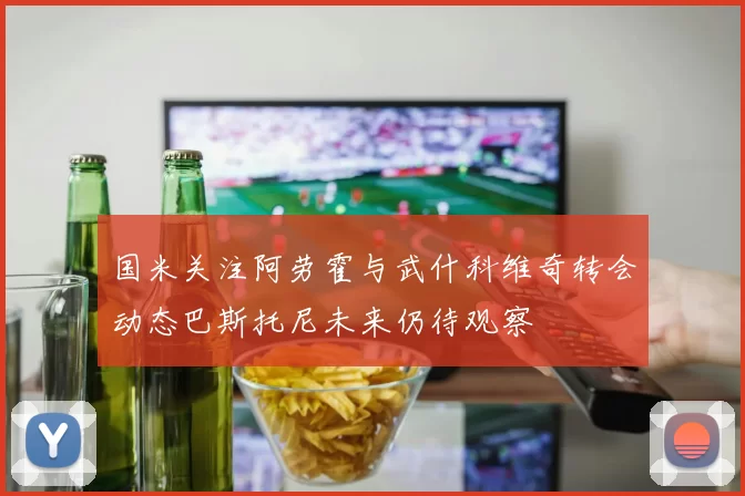 国米关注阿劳霍与武什科维奇转会动态巴斯托尼未来仍待观察