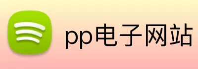 pp电子网站 Logo
